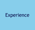 Experience